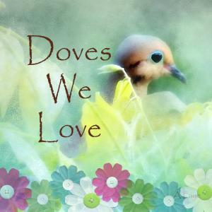 Congratulations To Winners From Our Latest Contest Doves We Love