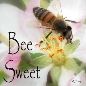 Congratulations To Winners From Our Latest Contest Bee Sweet