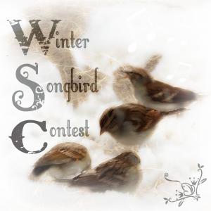 Winter Songbird Contest